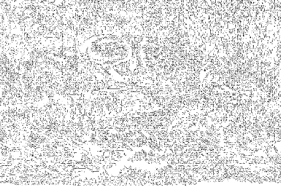 Рассказы охотника - i_009.png