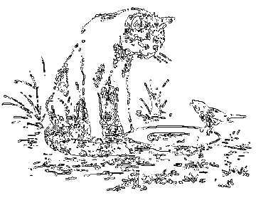 Рассказы охотника - i_061.png