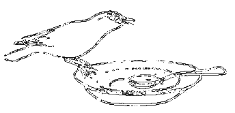 Рассказы охотника - i_063.png