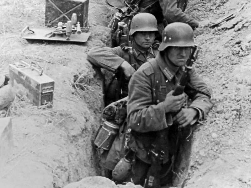 Битва за Крым 1941–1944 гг. - i_010.jpg