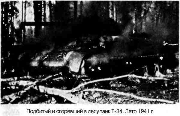 Великая Отечественная альтернатива. 1941 в сослагательном наклонении - i_012.jpg