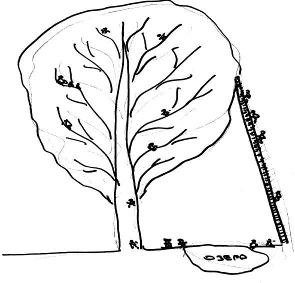 Проект «Человечество» успех или неудача? - _13.jpg