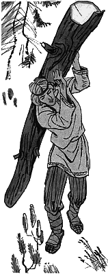 Мишкино детство - any2fbimgloader30.png