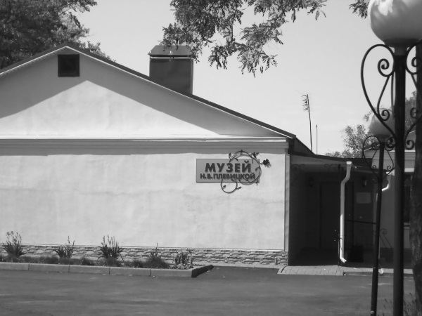 Плевицкая. Между искусством и разведкой - i_002.jpg