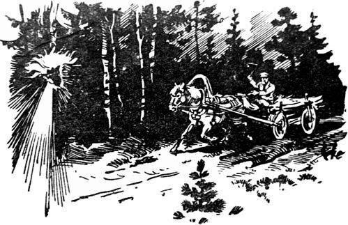 За волшебным цветком - pic_17.jpg