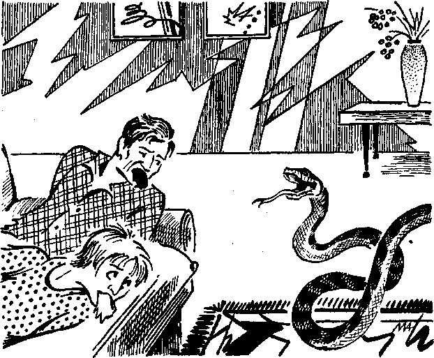 Тайна змеиного зуба - i_006.png