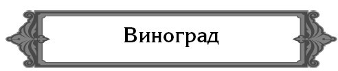 5000 разумных советов, правил, секретов садоводам и огородникам - i_009.jpg