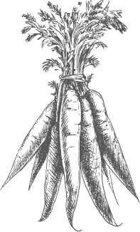 Большая энциклопедия садовода-огородник от А до Я - _46.png