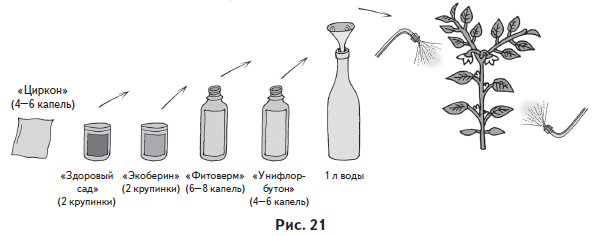 Ваш огород. Самое понятное руководство в иллюстрациях - i_024.png