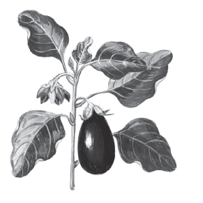 Ваш огород. Самое понятное руководство в иллюстрациях - i_026.png