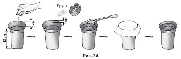 Ваш огород. Самое понятное руководство в иллюстрациях - i_028.png