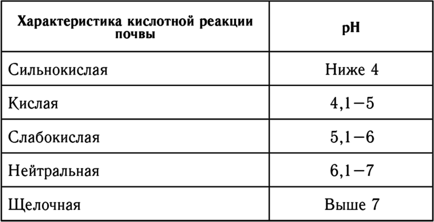 Виноград идет на Север - _1.jpg