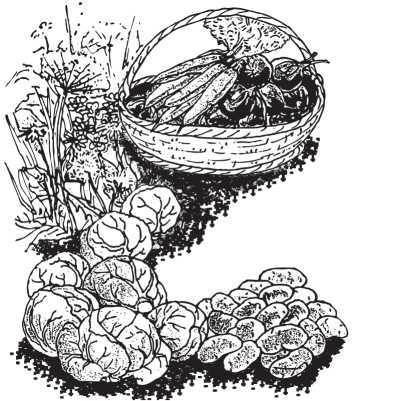 Все ответы на вопросы о вашем огороде - i_001.jpg