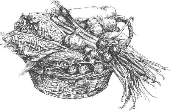 Все ответы на вопросы о вашем огороде - i_003.jpg