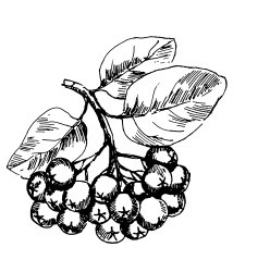 Все ответы на вопросы о саде - i_007.jpg