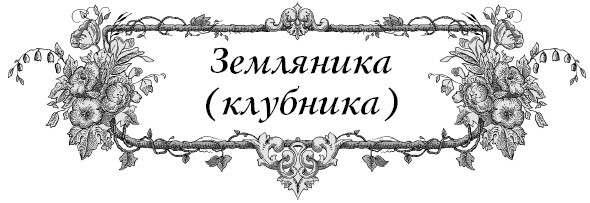 Все секреты повышения урожайности на маленьком участке. Как вырастить урожай на зависть соседям - i_013.jpg