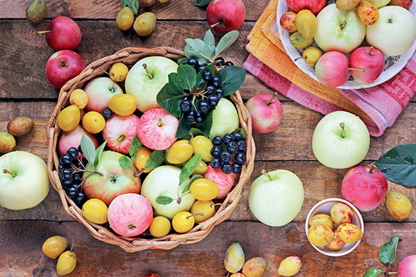 Дача мечты от Галины Кизимы. От планировки до первого урожая. Самоучитель для начинающих садоводов и огородников - i_013.jpg