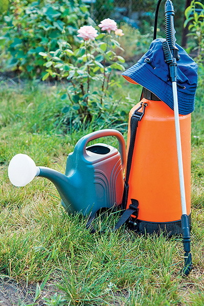 Дача мечты от Галины Кизимы. От планировки до первого урожая. Самоучитель для начинающих садоводов и огородников - i_042.jpg