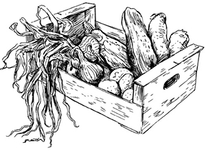 Маринады, соленья, закуски. Лучшие рецепты для застолья из вашего урожая - i_002.jpg