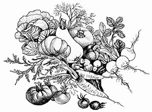 Маринады, соленья, закуски. Лучшие рецепты для застолья из вашего урожая - i_004.jpg