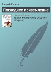 Последнее приземление - автор Курков Андрей Юрьевич 