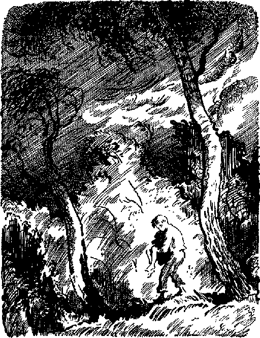 Девочка ищет отца (с илл.) - pic_11.png