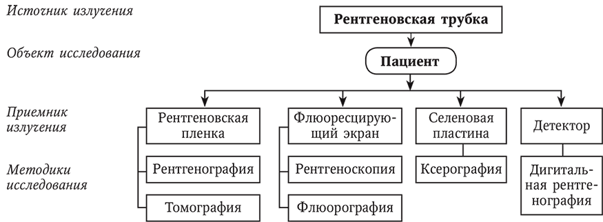 Пропедевтика внутренних болезней - i_015.png