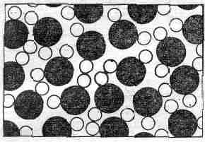 Фейнмановские лекции по физике 1. Современная наука о природе, законы механики - img_1.jpg