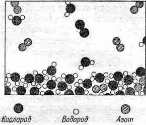Фейнмановские лекции по физике 1. Современная наука о природе, законы механики - img_5.jpg