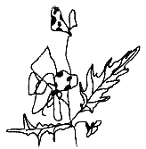 Великое путешествие кроликов - i_003.png