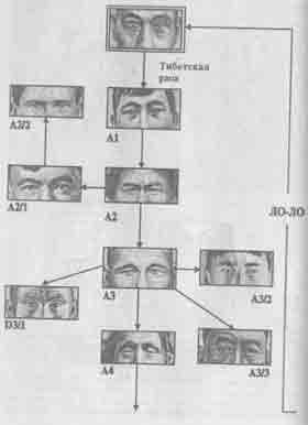 Встреча с мастером - any2fbimgloader31.jpeg