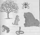 Встреча с мастером - any2fbimgloader88.jpeg