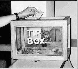 Золотые пластины Харати - i_015.jpg