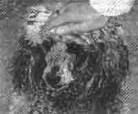 Трагическое послание древних - any2fbimgloader216.jpeg