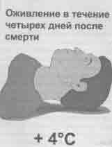 Что сказали тибетские ламы - any2fbimgloader11.jpeg