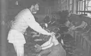 Что сказали тибетские ламы - any2fbimgloader5.jpeg