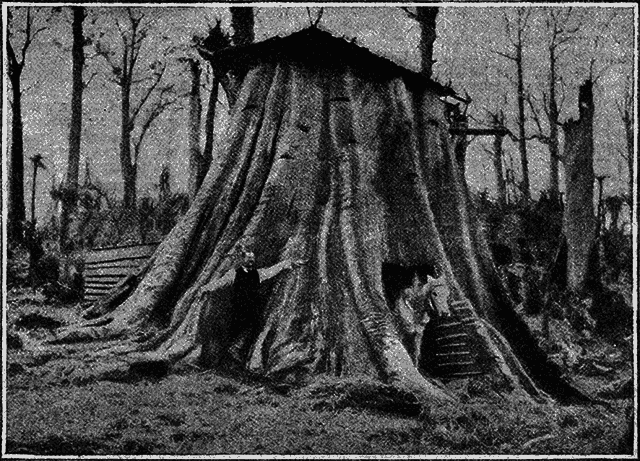 Всемирный следопыт 1926 № 06 - _50_str77.png