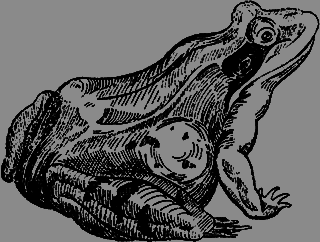 Всемирный следопыт 1926 № 06 - _53_str79.png