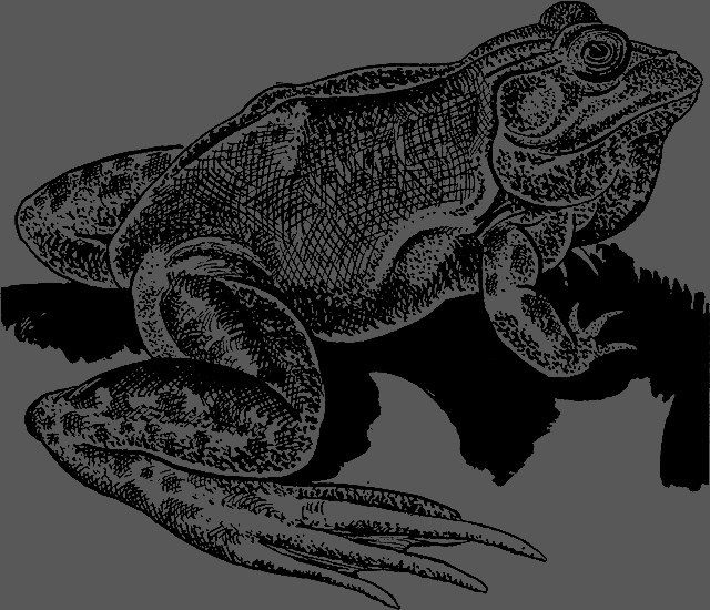 Всемирный следопыт 1926 № 06 - _54_str801.png