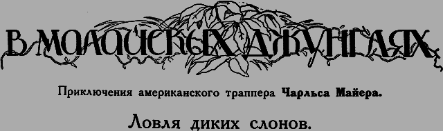 Всемирный следопыт 1926 № 08 - _27_vdjungl.png