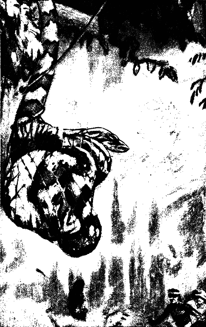 Всемирный следопыт 1926 № 09 - _27_str51.png