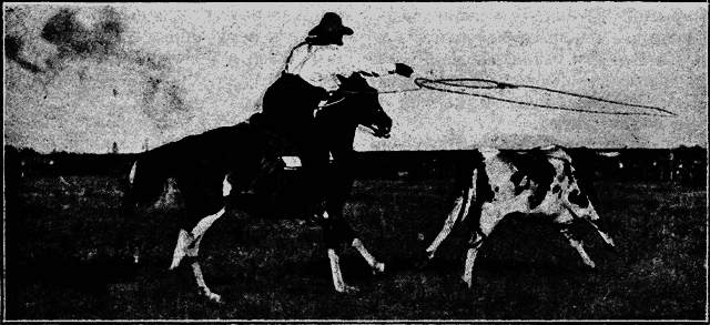 Всемирный следопыт 1926 № 10 - _30_str56.png