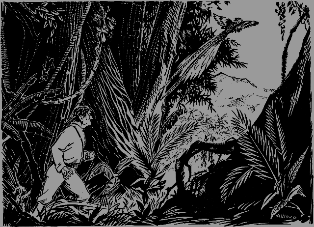 Всемирный следопыт 1926 № 11 - _13_str19.png