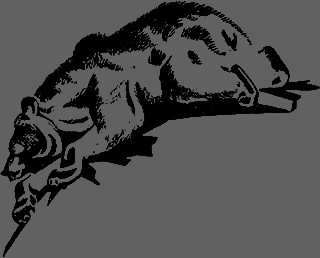 Всемирный следопыт 1926 № 12 - _41_str652.png