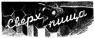 Всемирный следопыт, 1927 № 02 - i_006.png