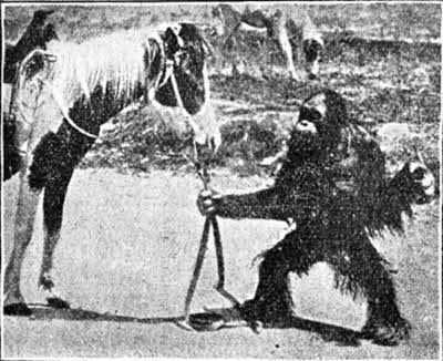 Всемирный следопыт, 1927 № 02 - i_032.jpg