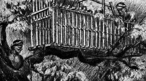 Всемирный следопыт, 1927 № 02 - i_034.png