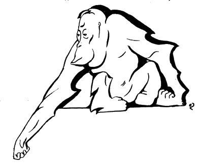 Всемирный следопыт, 1927 № 02 - i_036.png