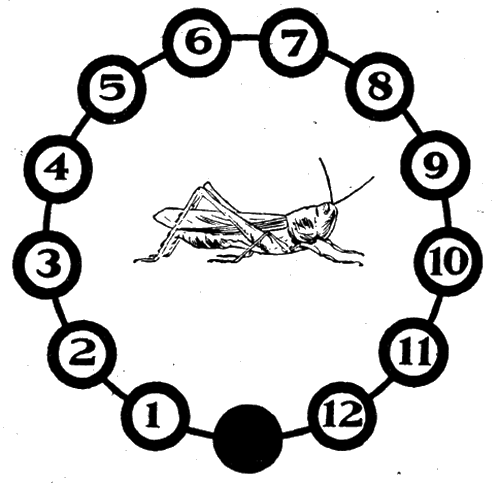 Всемирный следопыт, 1927 № 02 - i_055.png