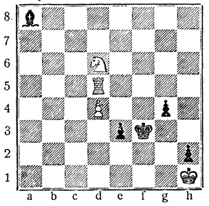 Всемирный следопыт, 1927 № 05 - i_049.png